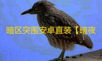 暗区突围安卓直装【暗夜】-辅助