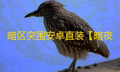 暗区突围安卓直装【暗夜】-辅助